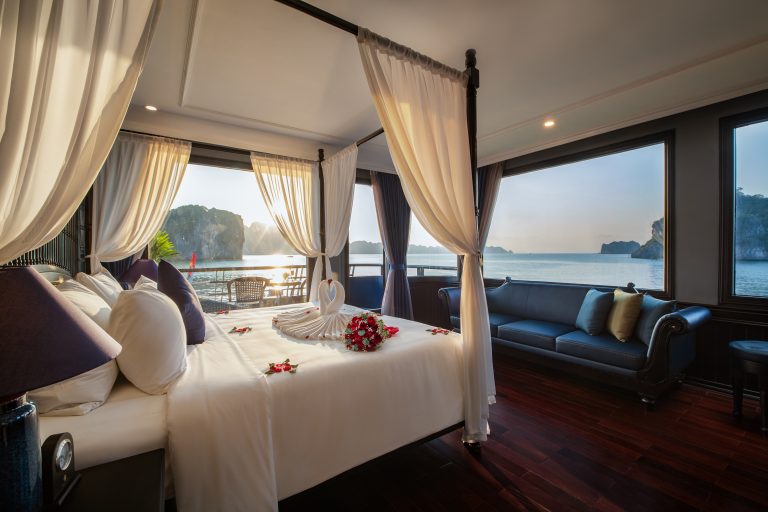 Rosy cruise vip 1